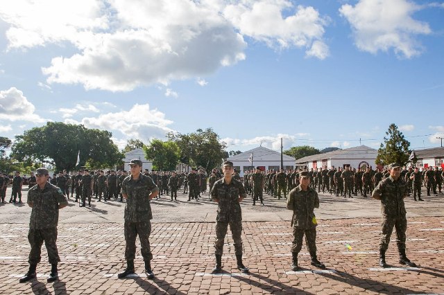 Destaques Campo Básico