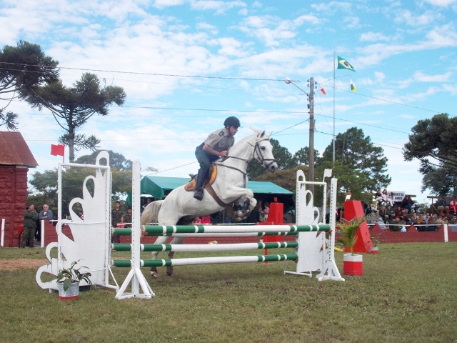 A elegância do Cavalo e seu cavaleiro